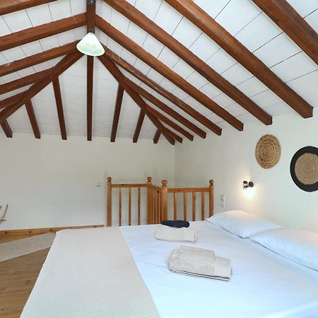 Skopelos Evergreen Apartments 斯塔菲罗斯 外观 照片
