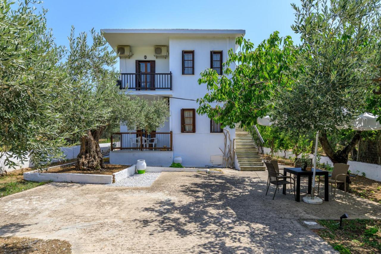 Skopelos Evergreen Apartments 斯塔菲罗斯 外观 照片