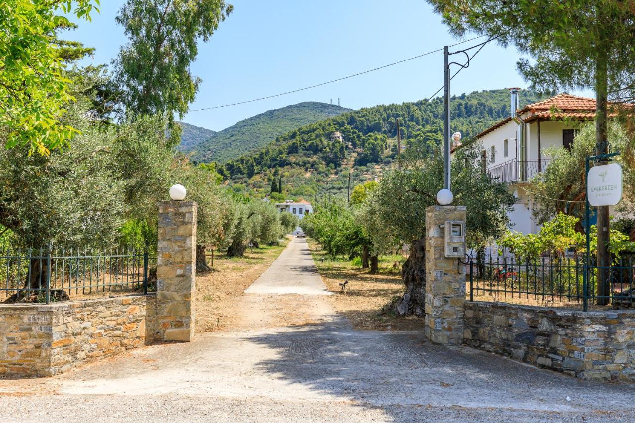 Skopelos Evergreen Apartments 斯塔菲罗斯 外观 照片