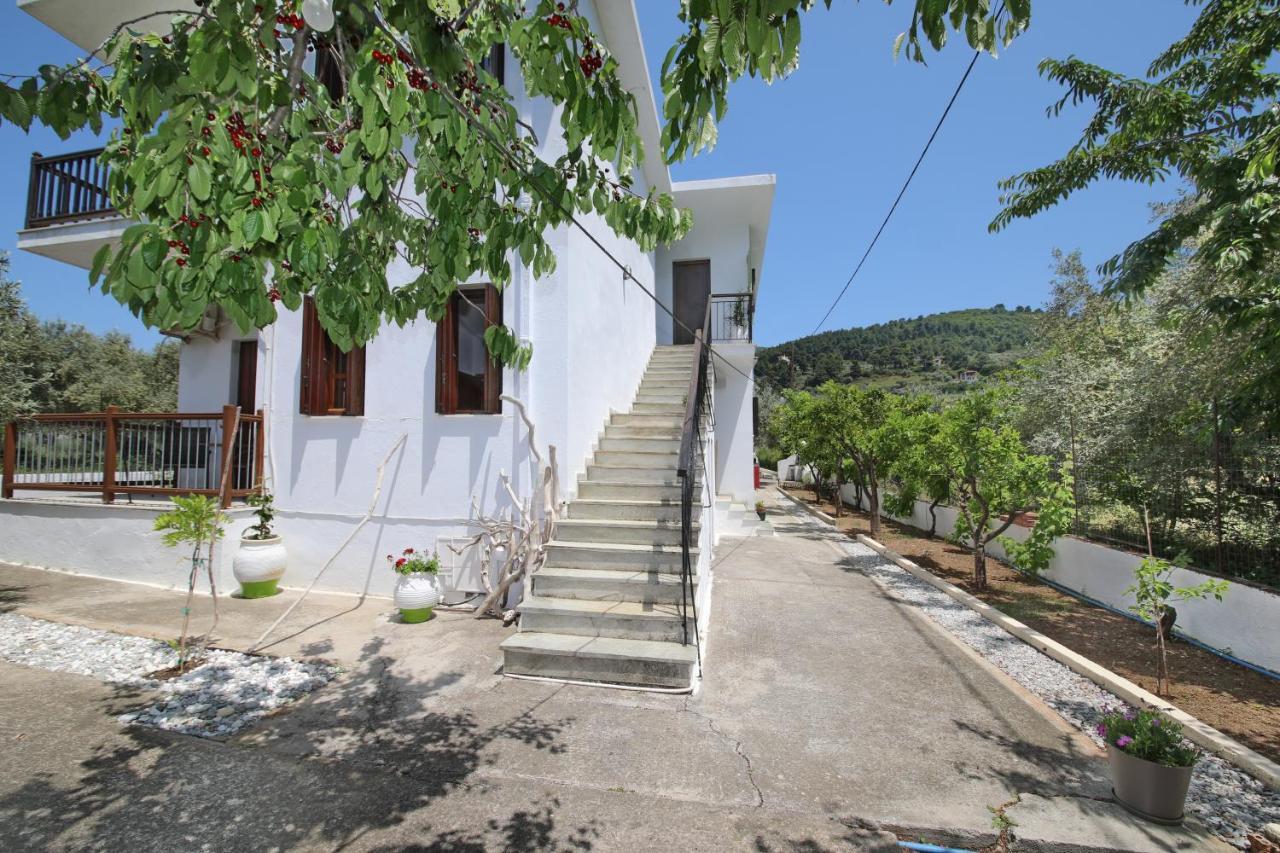 Skopelos Evergreen Apartments 斯塔菲罗斯 外观 照片
