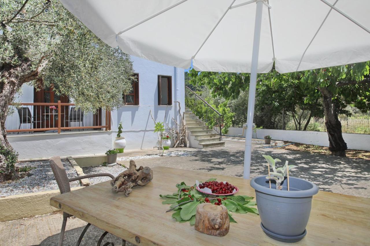 Skopelos Evergreen Apartments 斯塔菲罗斯 外观 照片