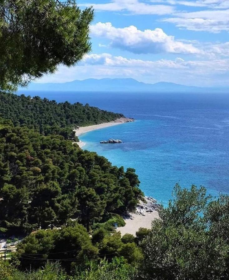 Skopelos Evergreen Apartments 斯塔菲罗斯 外观 照片